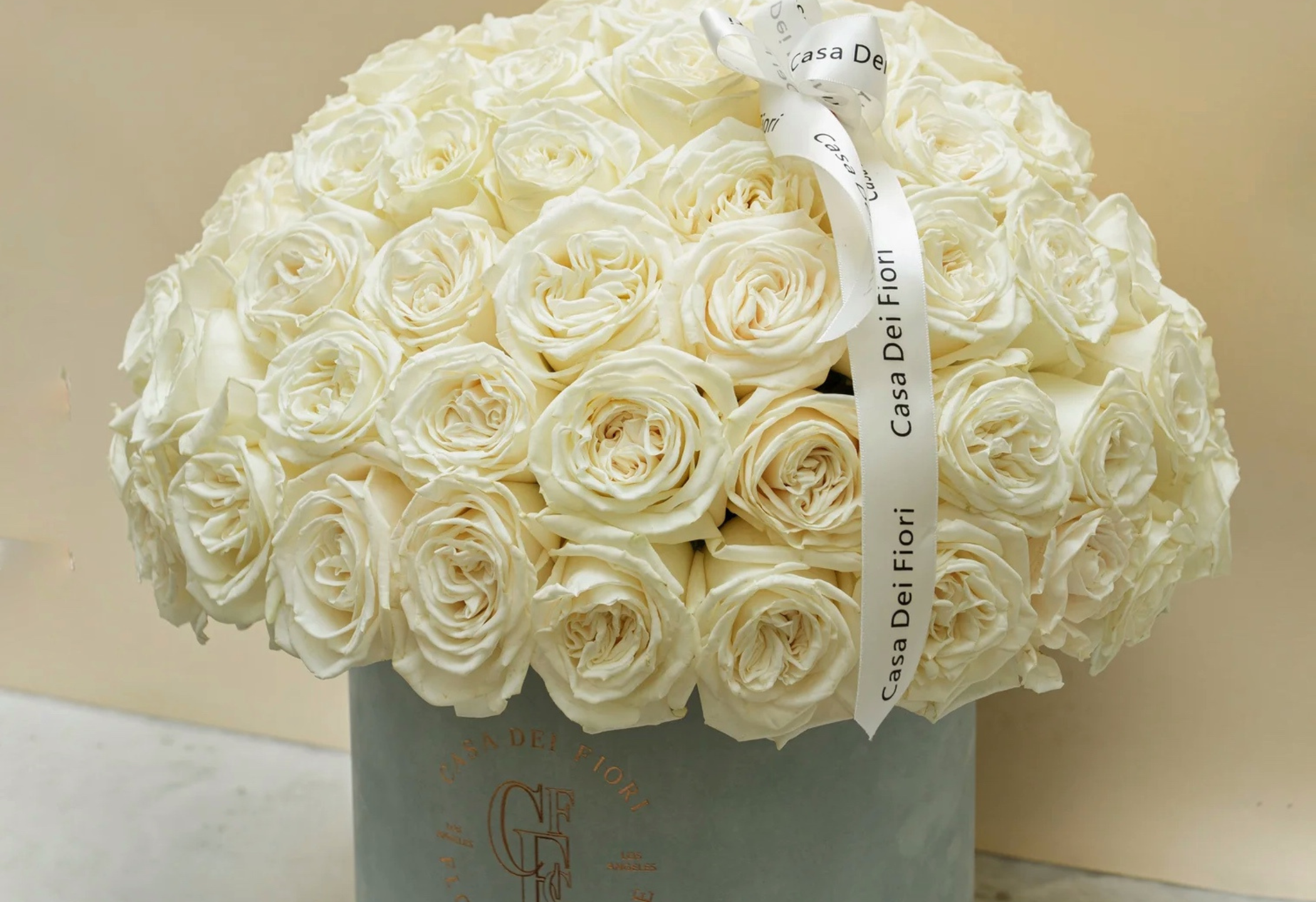 15% Off banner.png__PID:3ca933b4-7106-4d12-908b-8220d41942f3