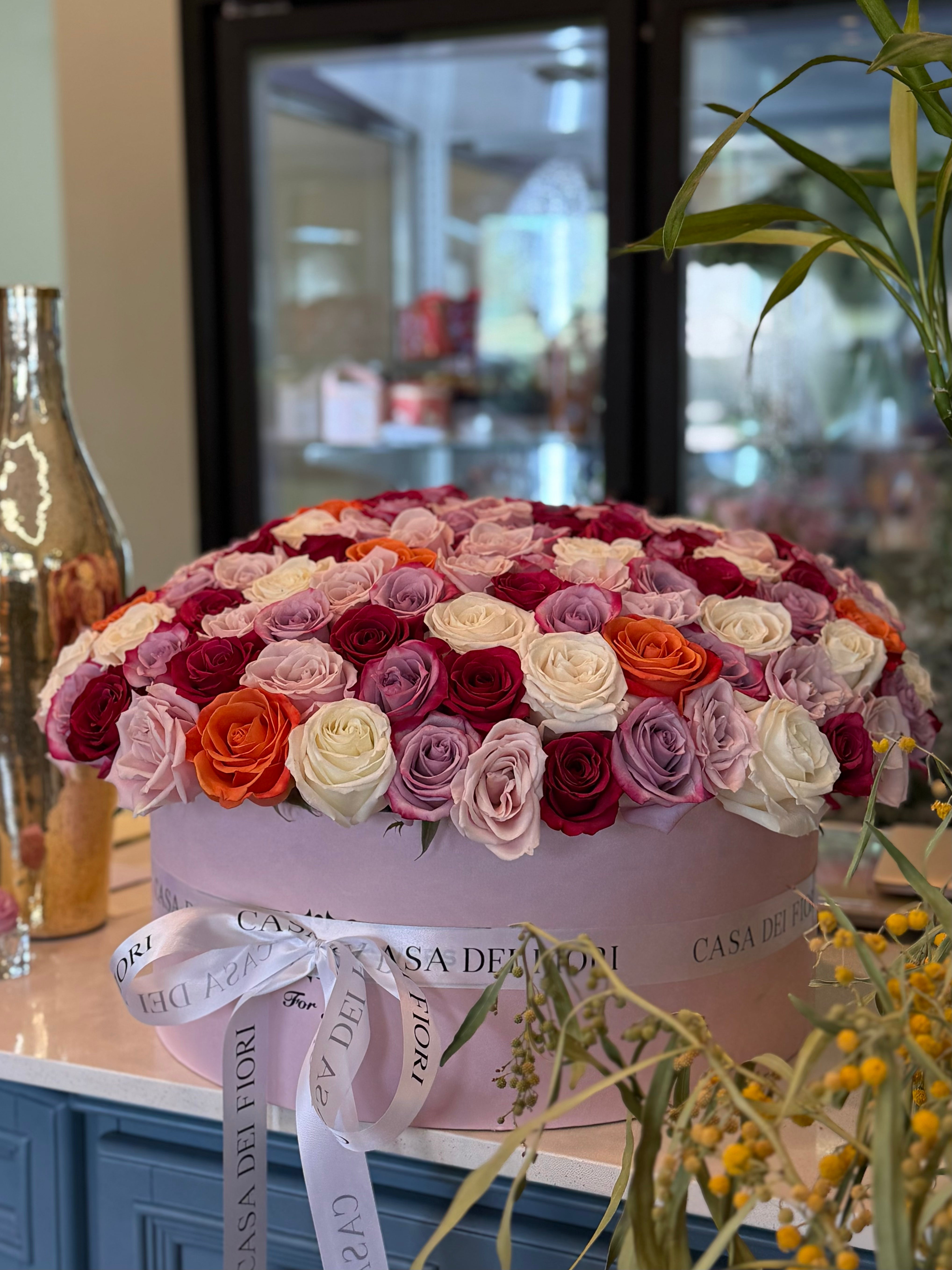 IMG_3420.heic__PID:5785eecc-c636-42fb-9e44-b447af0853bb