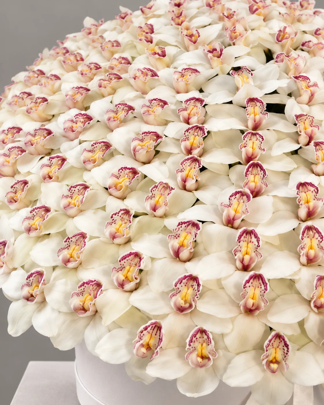 Large White Orchid Flower Arrangement for Delivery in Los Angeles