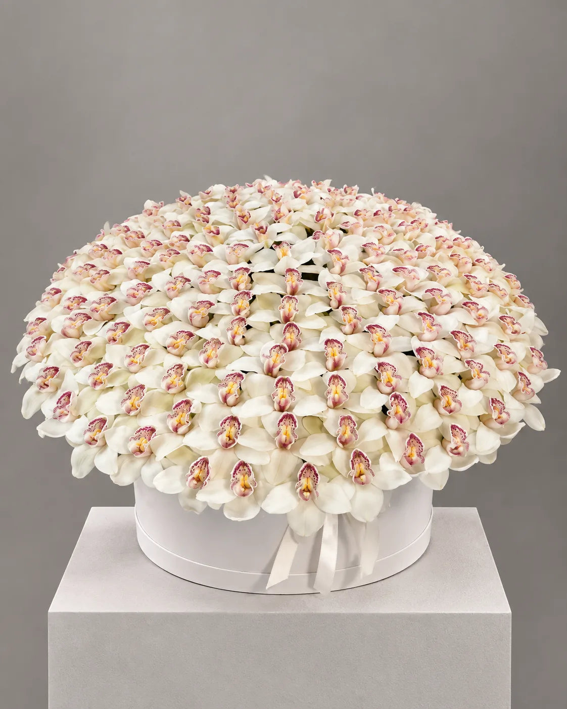 Luxury White Cymbidium Orchid Arrangement in Los Angeles