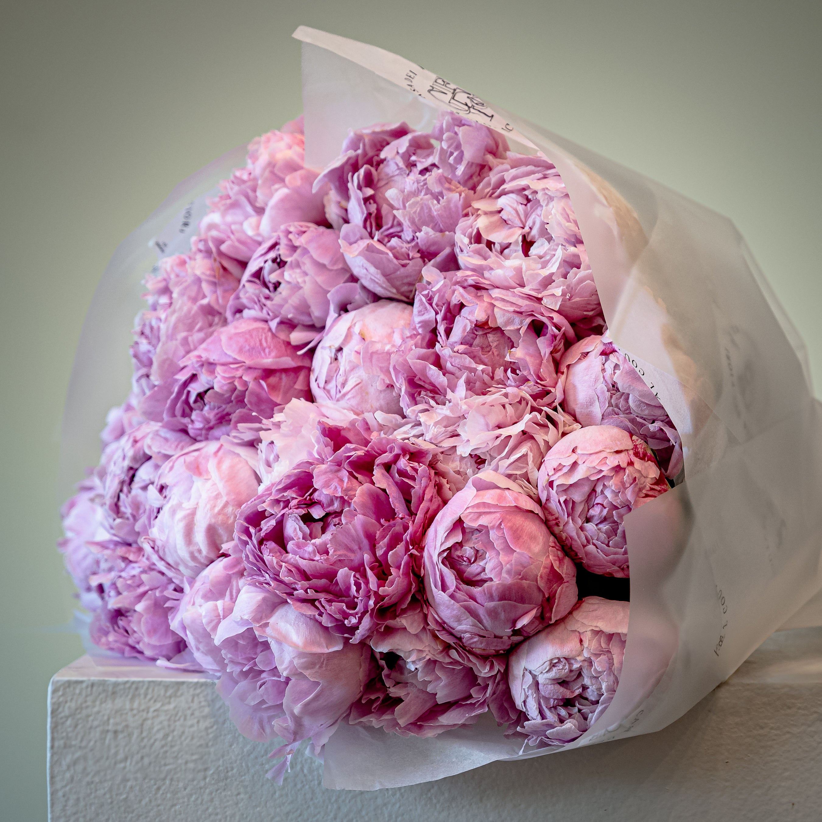 casa-dei-flori-1-18-13.jpg__PID:c97f5888-4988-4f63-9400-7773a3b7231e