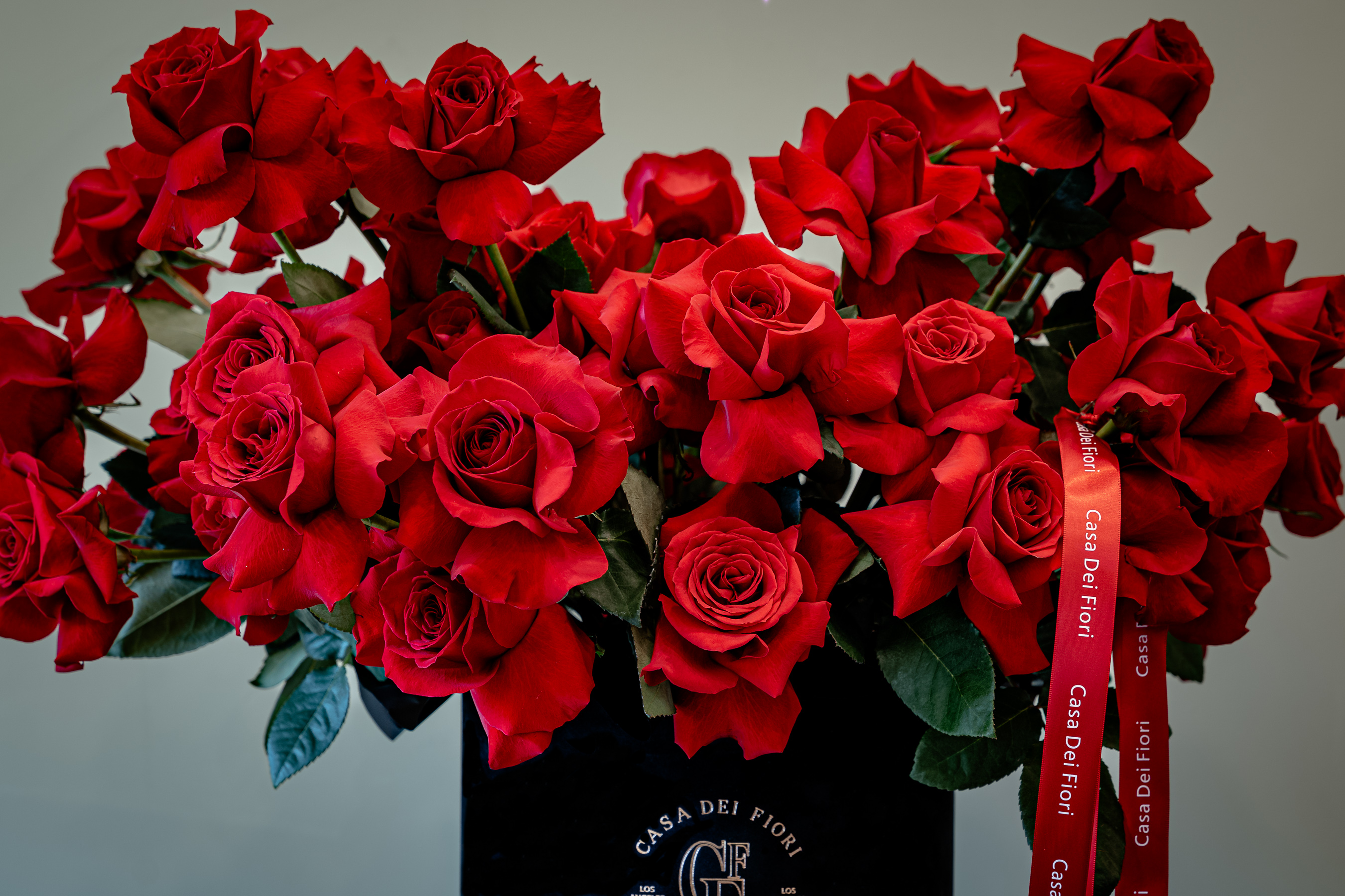 casa-dei-flori-1-18-2.png__PID:f8a4bcdf-df67-4690-aff5-c4ce3ad4beb8