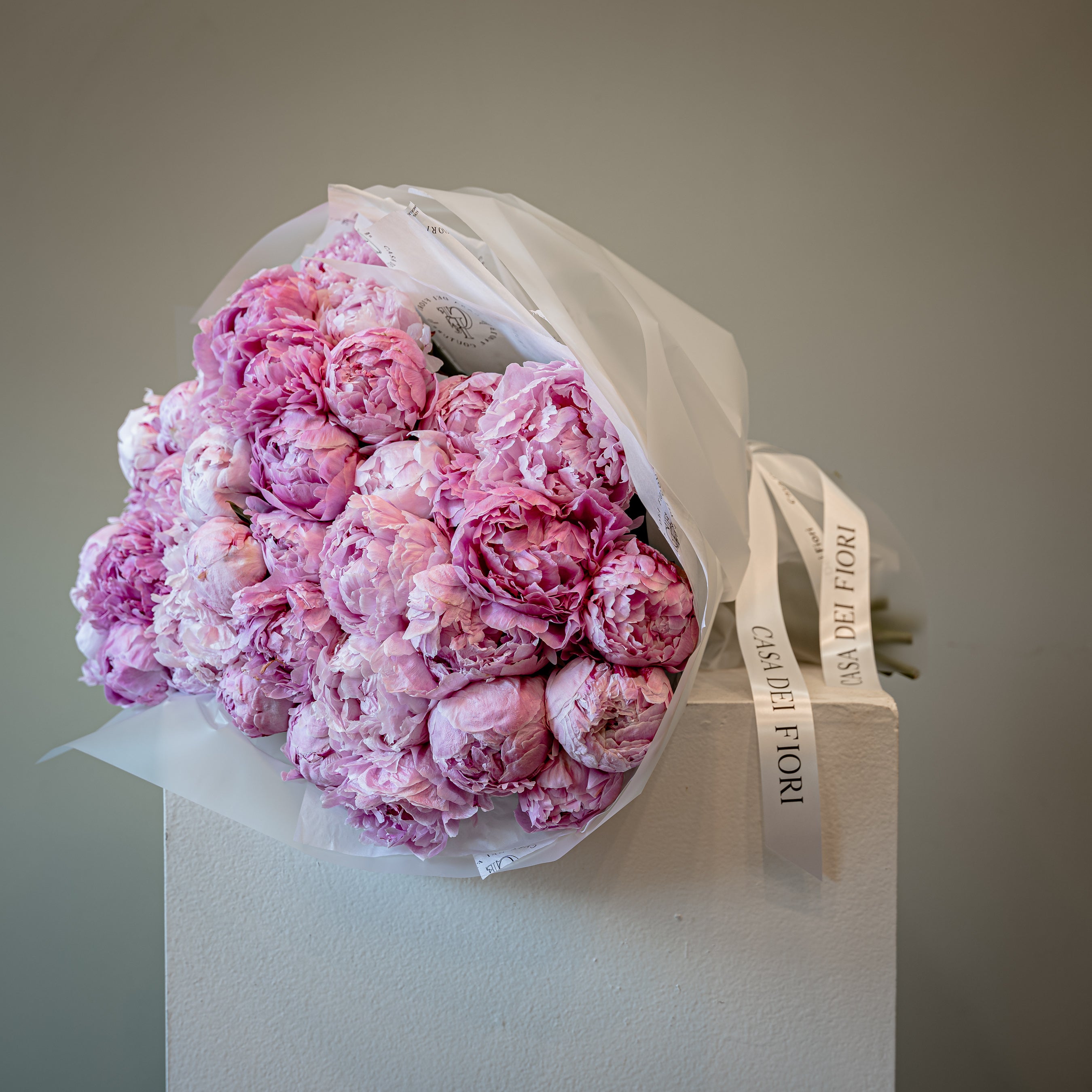 ETOILES DE PIVOINE