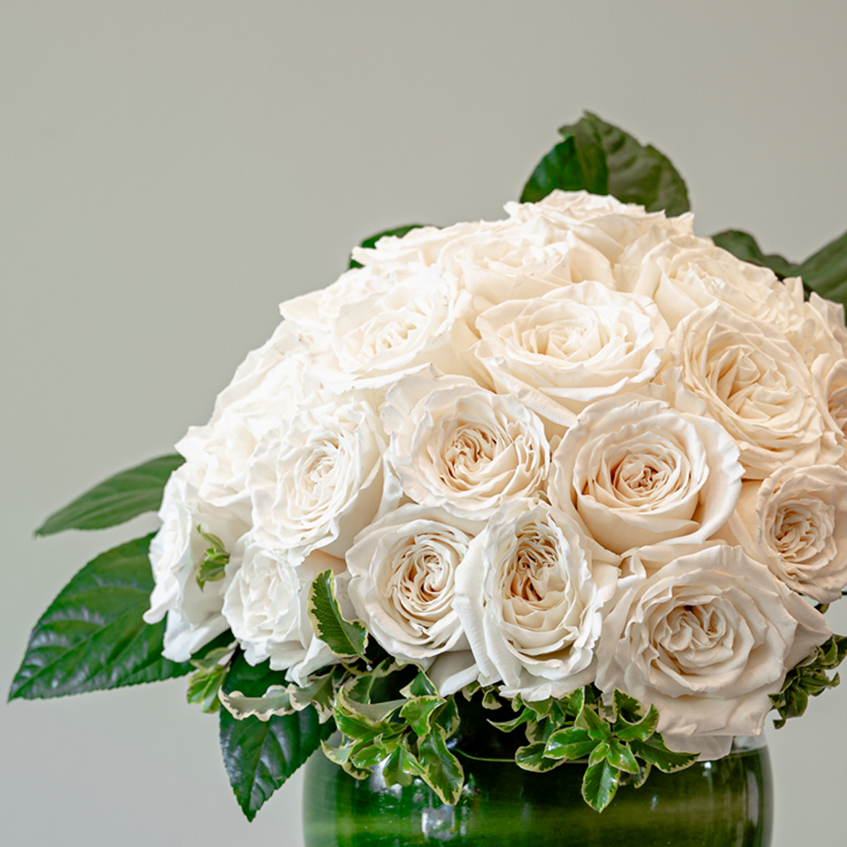 right side postarrangement-.png__PID:38c55df0-fd41-430a-a37e-82f398ff9528