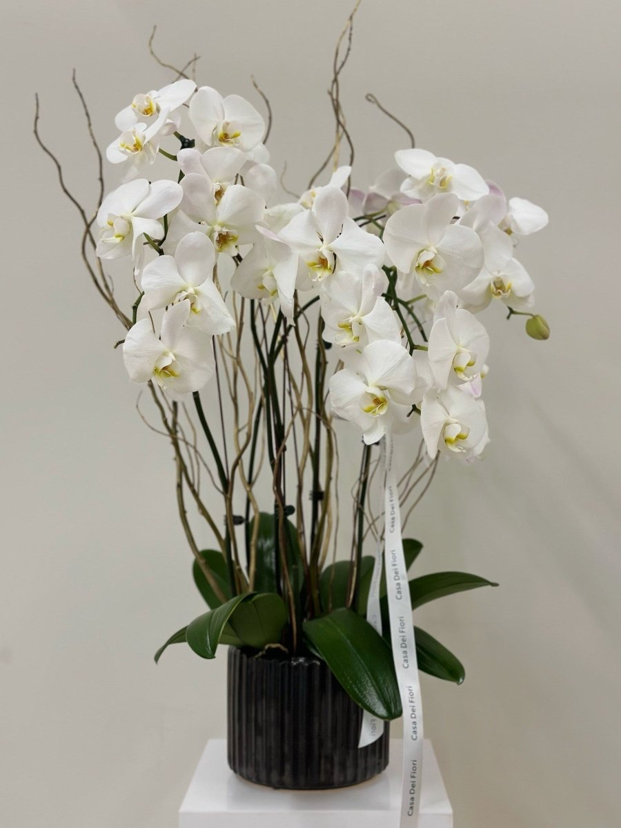 white lilies and orchids ORCHIDS