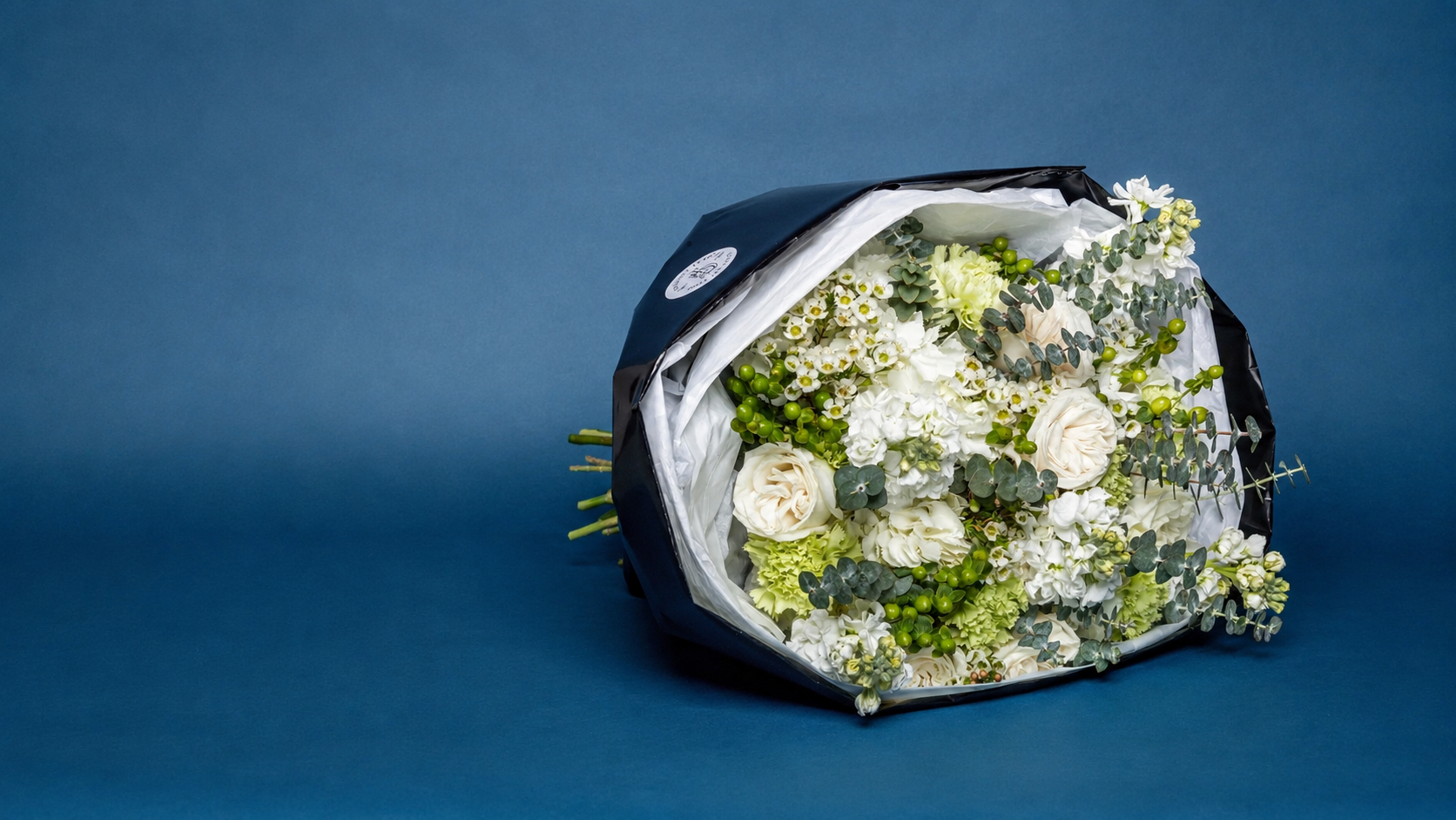 Daisy Flower Meaning: Innocence, Loyalty & Gift Occasions
