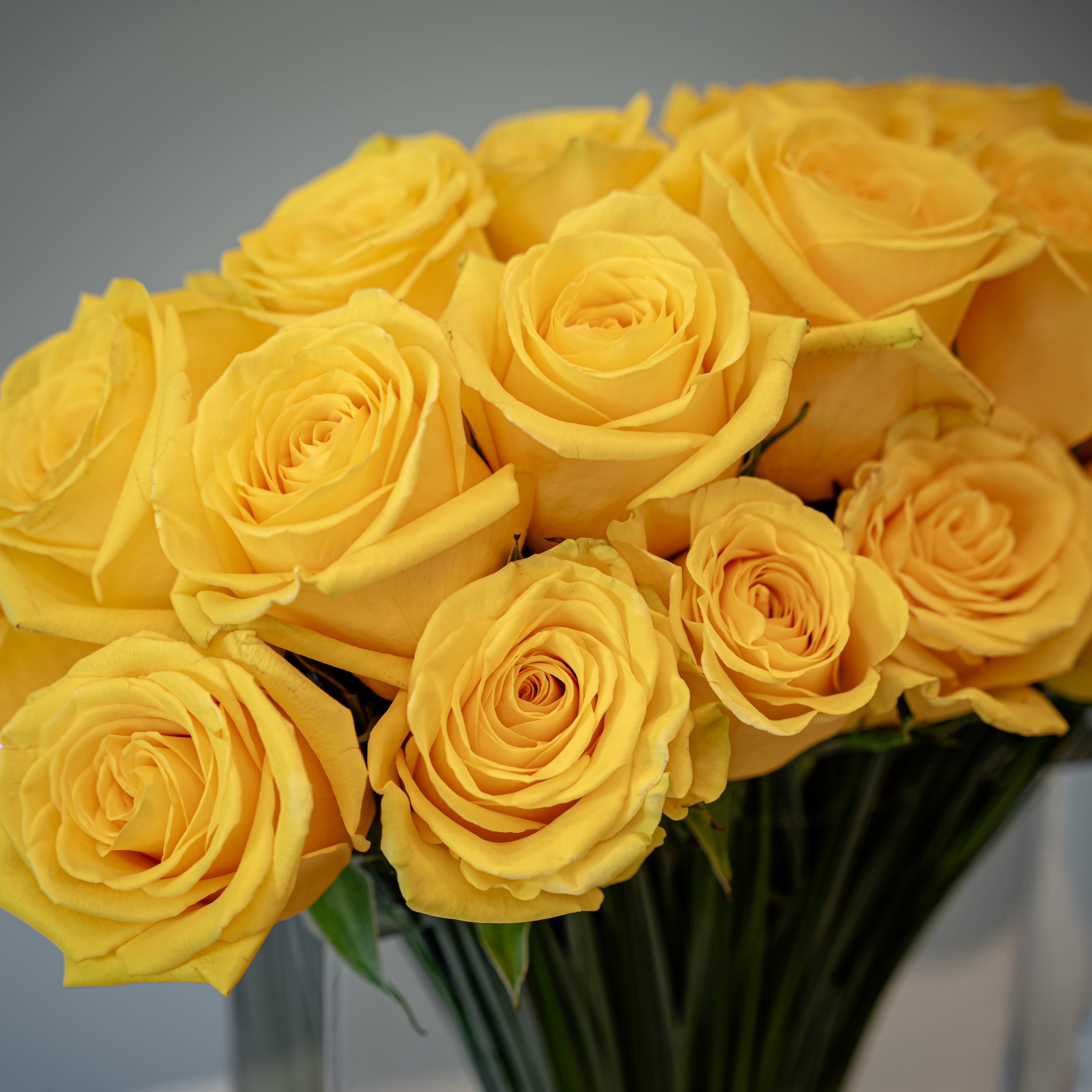 Get Well Flowers