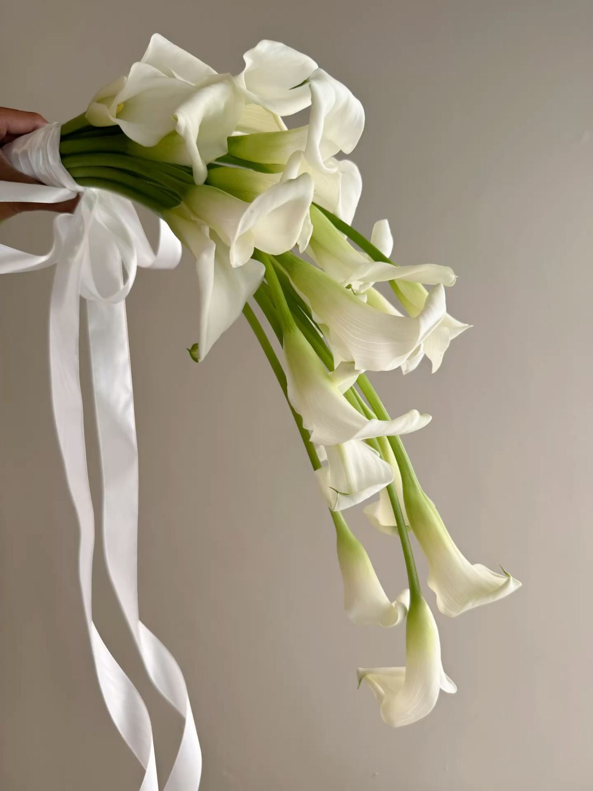 Élégance Calla