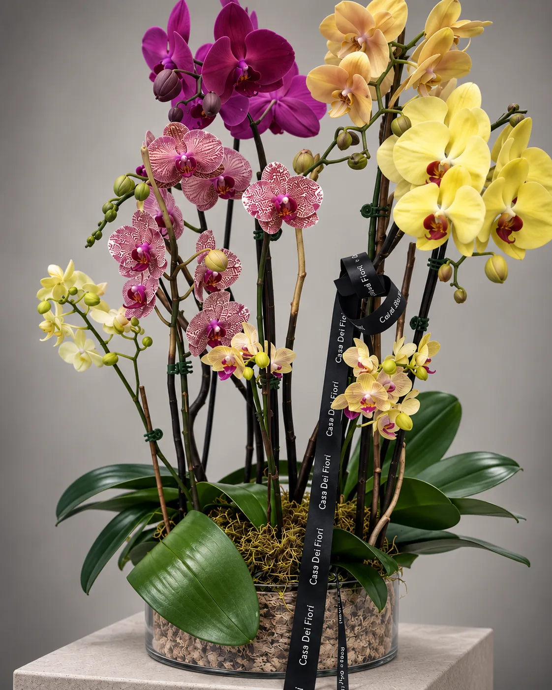 Luxury mixed orchid arrangement with same-day flower delivery in Los Angeles