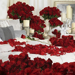 Romantic surprise decoration