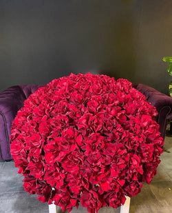 Bouquet of red roses